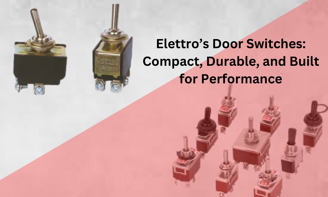 Toggle Switches / Door Switch